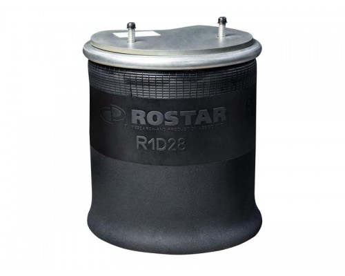 Cylinder (metal piston) R1D28DGS05 (PHOENIX 1D28F5)